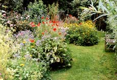 Garten2